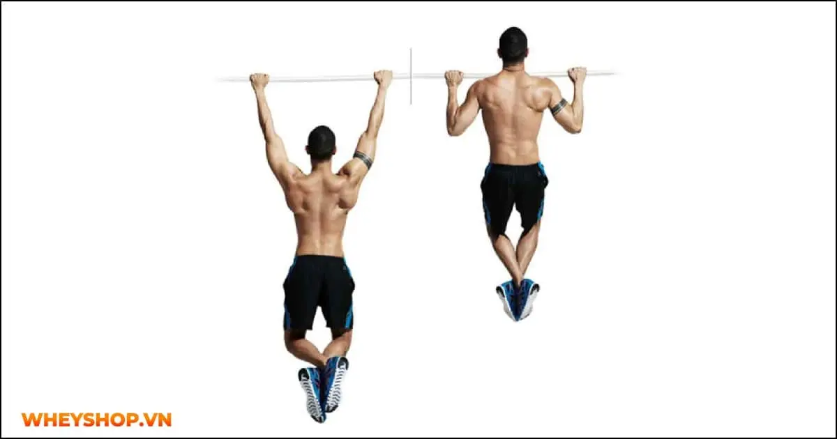 7-bai-tap-calisthenics-cho-nguoi-moi-bat-dau-04