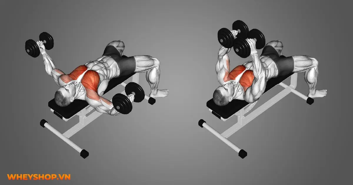 7-bai-tap-nguc-cho-nam-tot-nhat-moi-thoi-dai-03-min