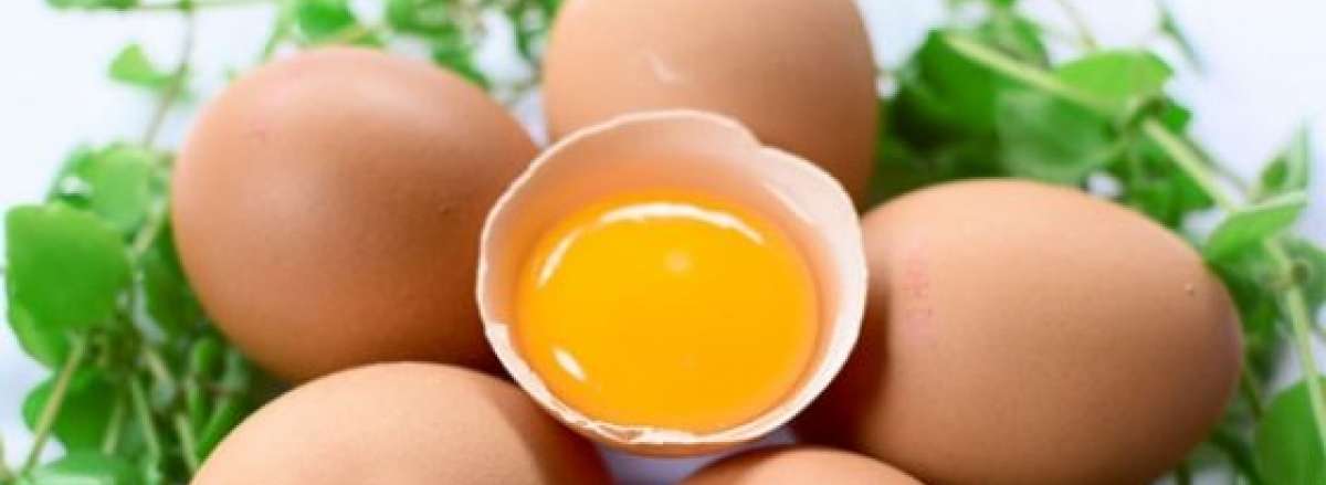 7 ly do giam can voi trung hieu qua NGUYEN CHAT BEO tot