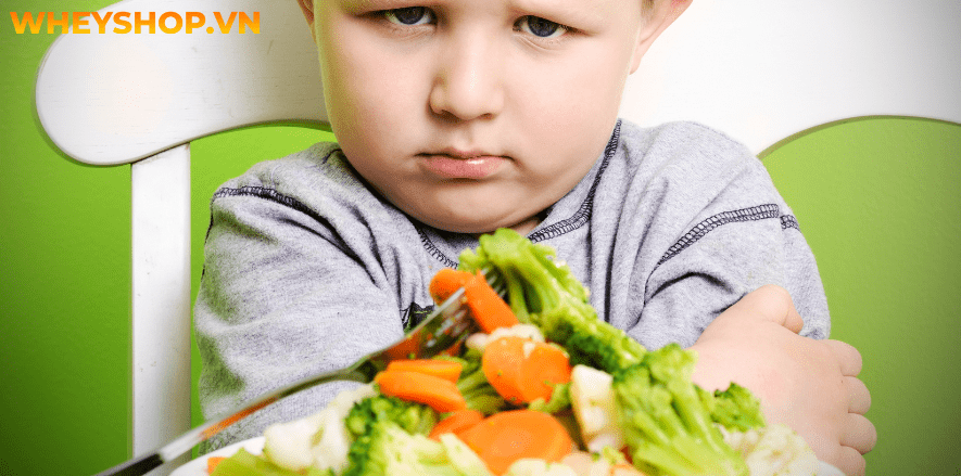Rất nhiều bạn đặt câu hỏi về hiệu quả của những sản phẩm được quảng cáo là vitamin tăng cân. Vậy thực chất đây là gì? Hãy cùng WheyShop tìm hiểu chi tiết qua...