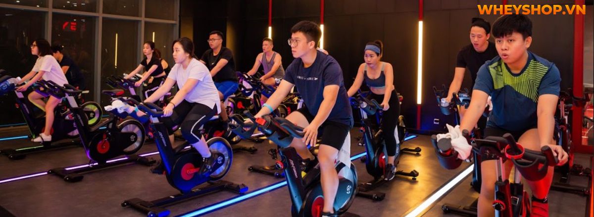 Nếu bạn đang đau đầu với cân nặng, không có thời gian tập luyện thì hãy cùng WheyShop tham khảo 20+ bài tập giảm mỡ toàn thân tại nhà đơn giản, hiệu quả cao...