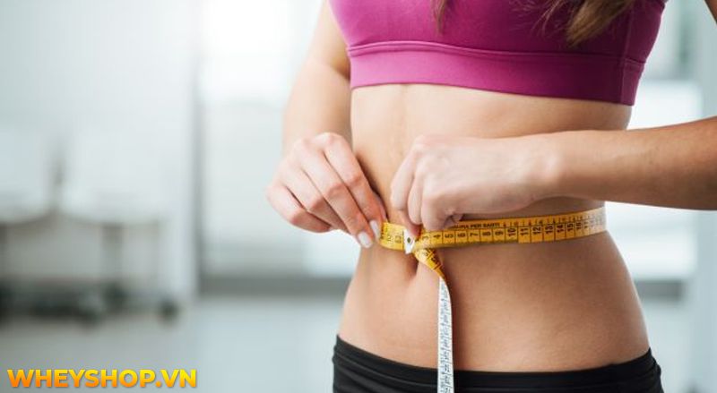 Có nhiều kiểu bơi khác nhau, với các kỹ thuật từ dễ đến nâng cao. Bạn đã bao giờ thử bơi ngửa chưa? Đây là một kiểu bơi độc đáo nhưng lại khá khó, tuy nhiên...