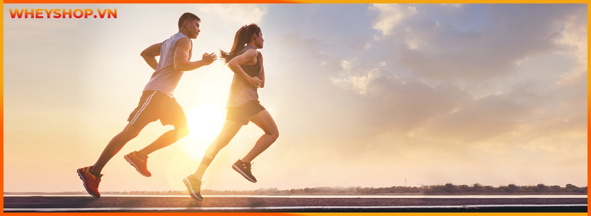 Tham khảo ngay 10 Bài tập Cardio tại nhà cho nữ đơn giản, hiệu quả, hỗ trợ đốt cháy calories giảm cân nhanh chóng lấy lại vóc dáng hiệu quả.
