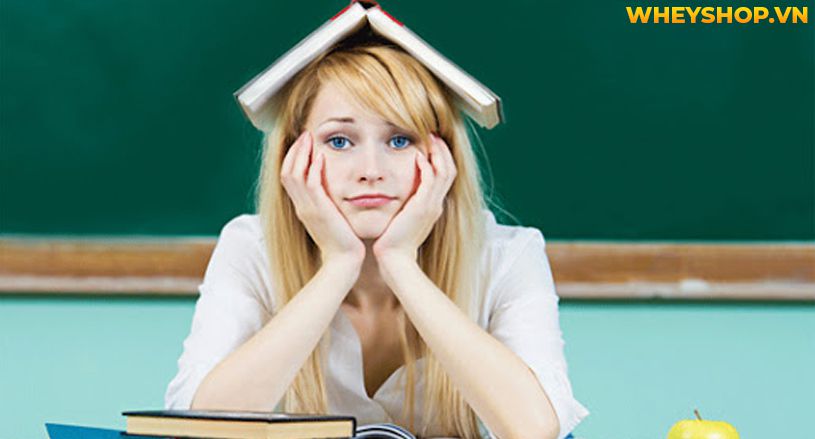 Thiền là một khái niệm không còn xa lạ ngày nay, nhưng trên thực tế, không phải ai cũng hiểu được bản chất thực của thiền. Vậy thiền là gì ? Ngồi thiền có...