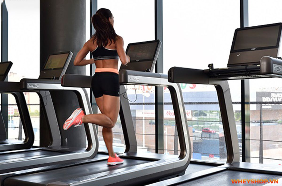 Nếu bạn đang băn khoăn trong việc lựa chọn máy chạy bộ Elip, hãy cùng WheyShop review đánh giá chi tiết về dòng máy chạy bộ này nhé...