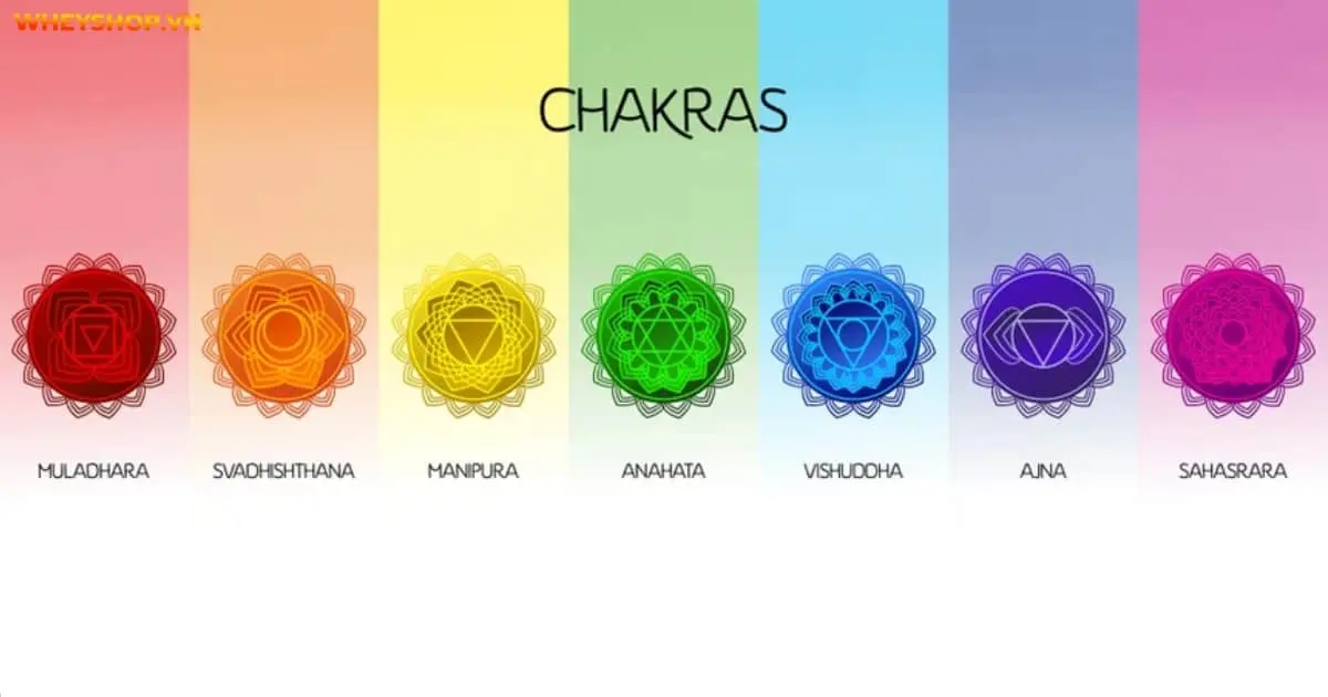 8-buoc-khai-mo-luan-xa-dung-cach