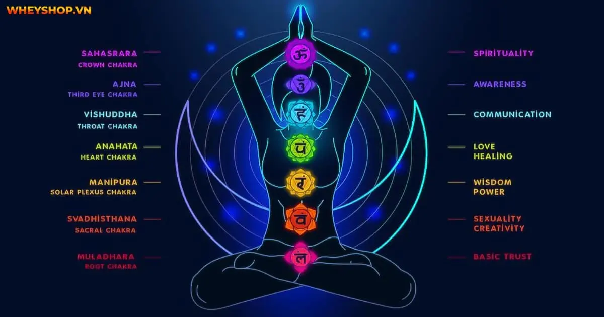 8-buoc-khai-mo-luan-xa-dung-cach