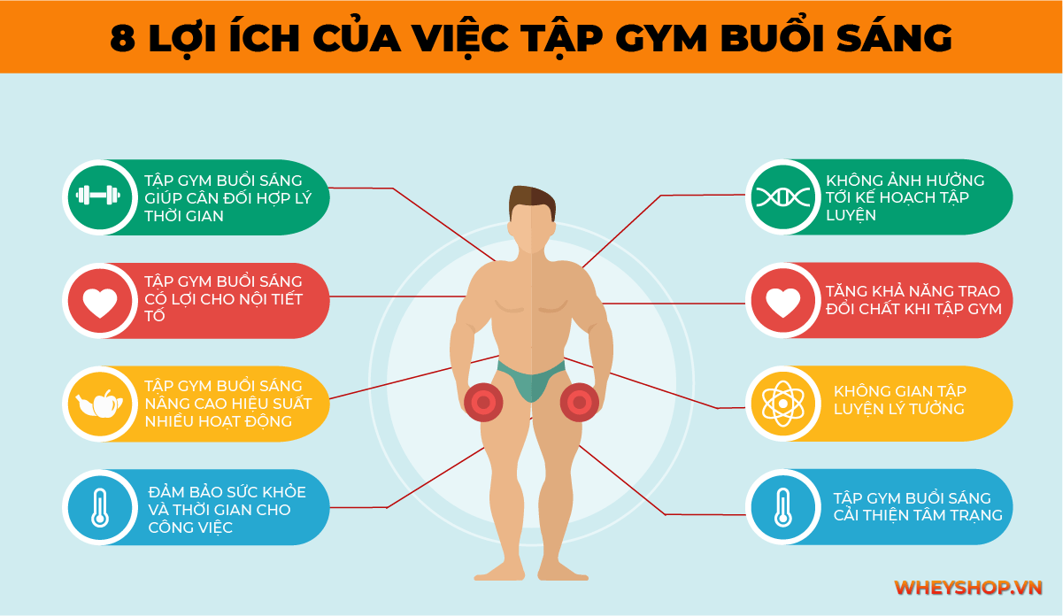 Không ít ý kiến trái chiều về vấn đề tập gym vào buổi sáng. Vậy tập gym buổi sáng nên hay không? Cùng WheyShop tìm hiểu ngay về 8 lợi ích của tập gym buổi sáng