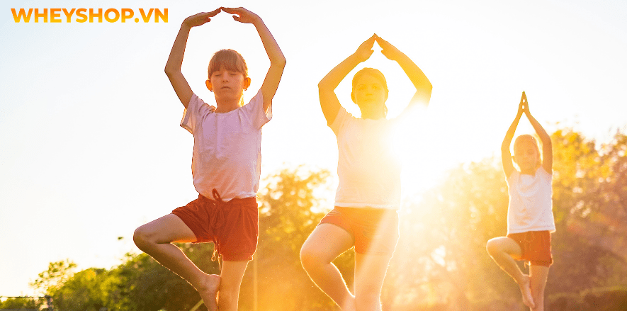 Hiện nay, có rất nhiều nghiên cứu khoa học chỉ ra rằng Yoga cho trẻ em hỗ trợ sự phát triển khỏe mạnh của trẻ. Đồng thời, nó còn có khả năng cải thiện hội...