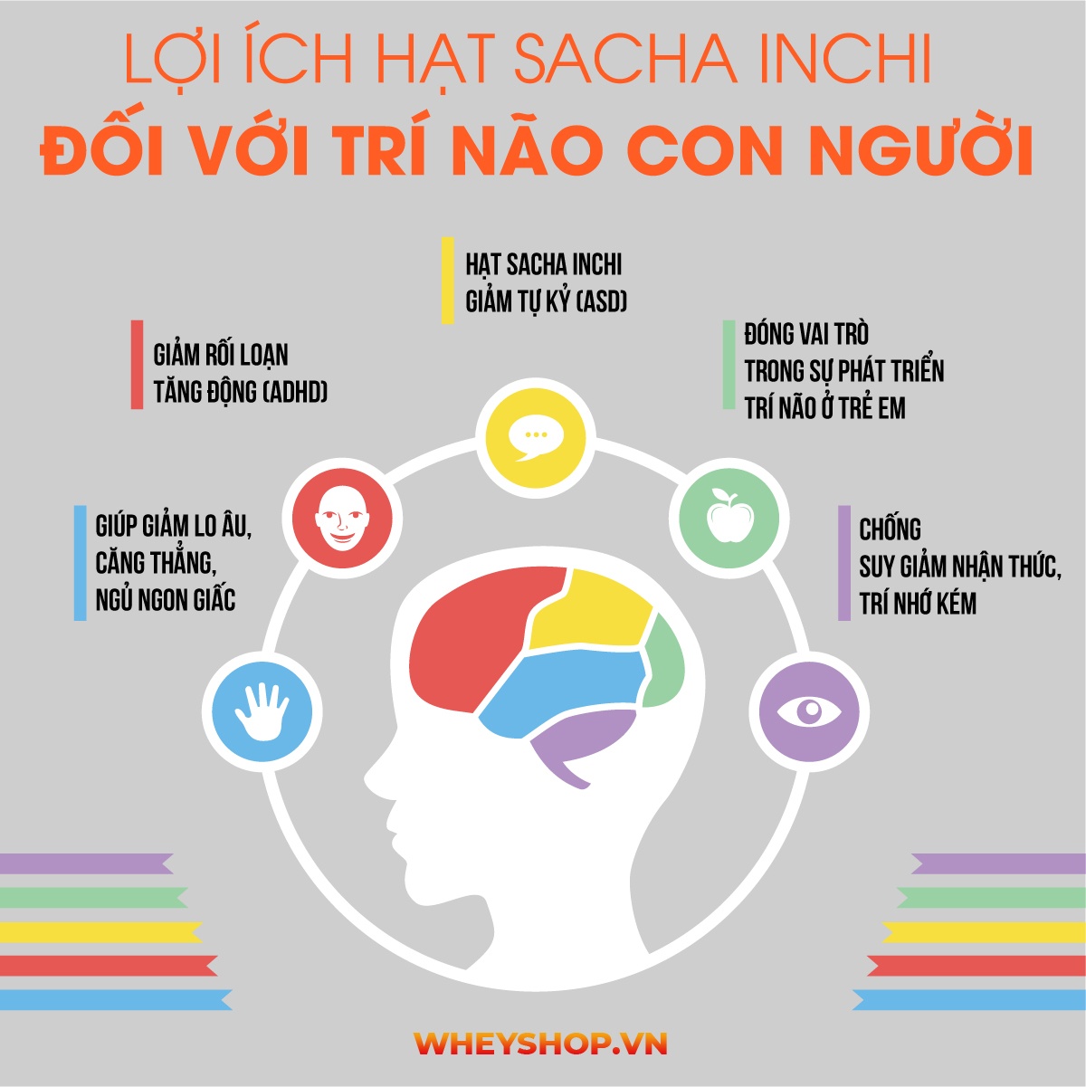 Nếu bạn đang băn khoăn tìm hiểu về hạt Sacha Inchi thì hãy tham khảo ngay bài viết chi tiết về lợi ích, công dụng và tác dụng phụ của sacha inchi
