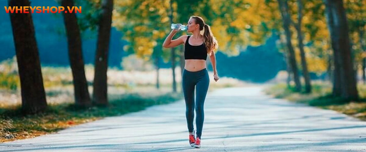 Cùng WheyShop tìm hiểu lý do tại sao chạy bộ bị đau bụng cùng 5 cách khắc phục tình trang chạy bộ bị đau bụng đơn giản, hiệu quả qua...