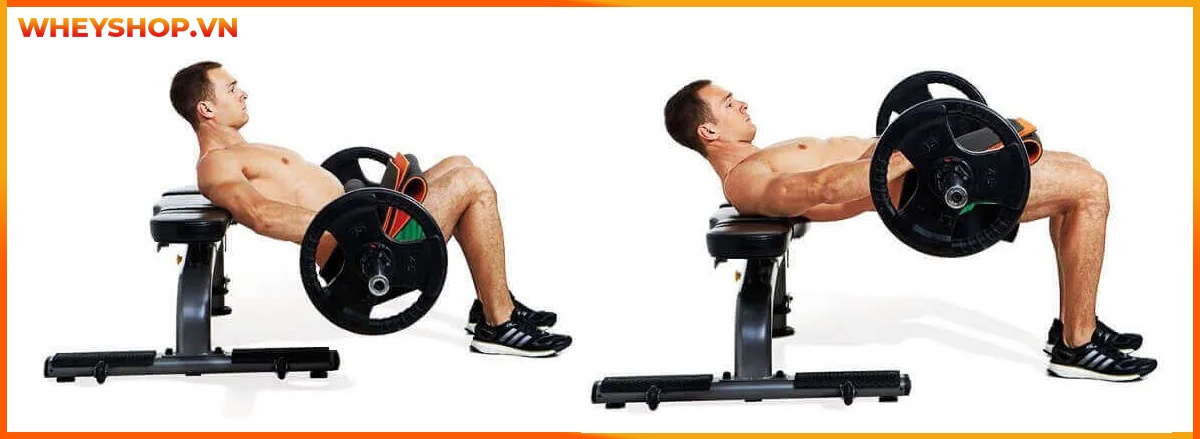 Tập bắp chân to tròn luôn là mơ ước của rất nhiều nam giới tập gym. Bắp chân to cân đối cùng cơ đùi, tạo dáng vẻ khỏe khoắn, nam tính. Tuy nhiên không phải...