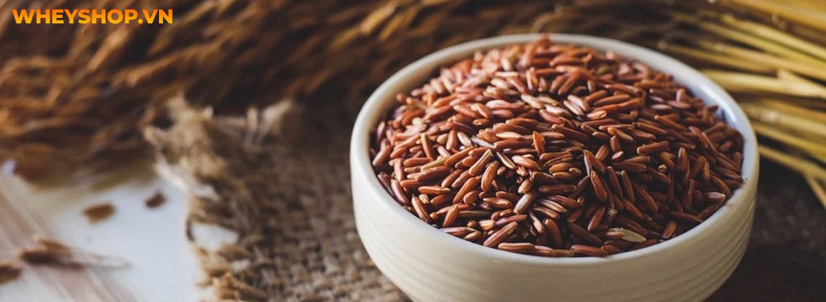 Nếu bạn đang băn khoăn tìm cách ăn gạo lứt giảm cân sao cho hiệu quả thì hãy cùng WheyShop điểm qua ngay 10 cách ăn gạo lứt giảm cân qua bài...