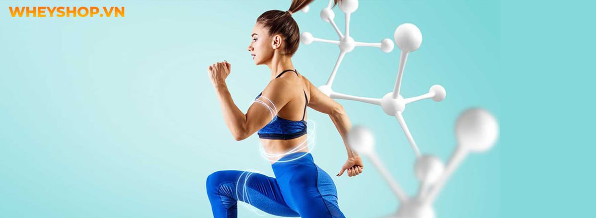 Nếu bạn đã tìm hiểu về trao đổi chất hãy cùng WheyShop tham khảo 9 cách tăng cường trao đổi chất đơn giản, hỗ trợ giảm cân nhanh chóng, hiệu quả....