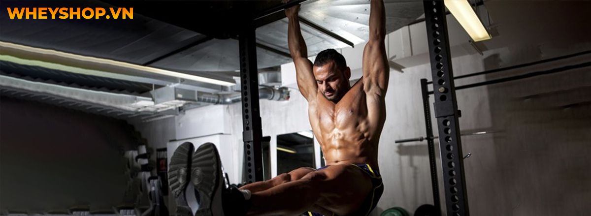 Bạn đang băn khoăn tìm cách giảm mỡ bụng nam nhanh chóng, hiệu quả? Hãy cùng WheyShop điểm qua ngay 10 bài tập giảm mỡ bụng nam...