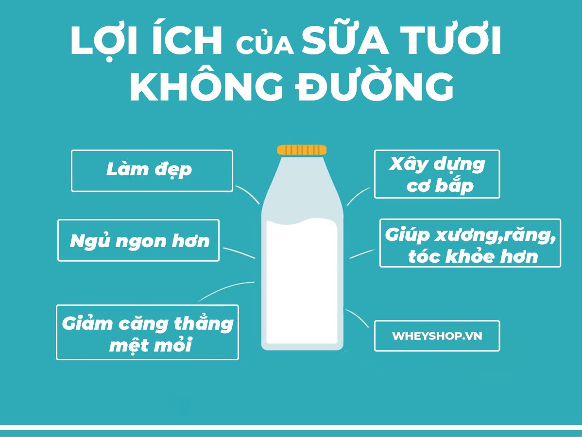 Uống sữa tươi không đường có béo không và câu trả lời giải đáp thắc mắc cho các bạn chi tiết trong bài viết sau đây ...
