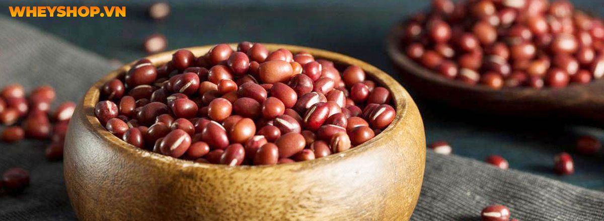 Tìm hiểu vai trò của thực phẩm giàu chất xơ đối với sức khỏe và top 30 thực phẩm giàu chất xơ tốt nhất mà WheyShop chia sẻ trong bài viết...