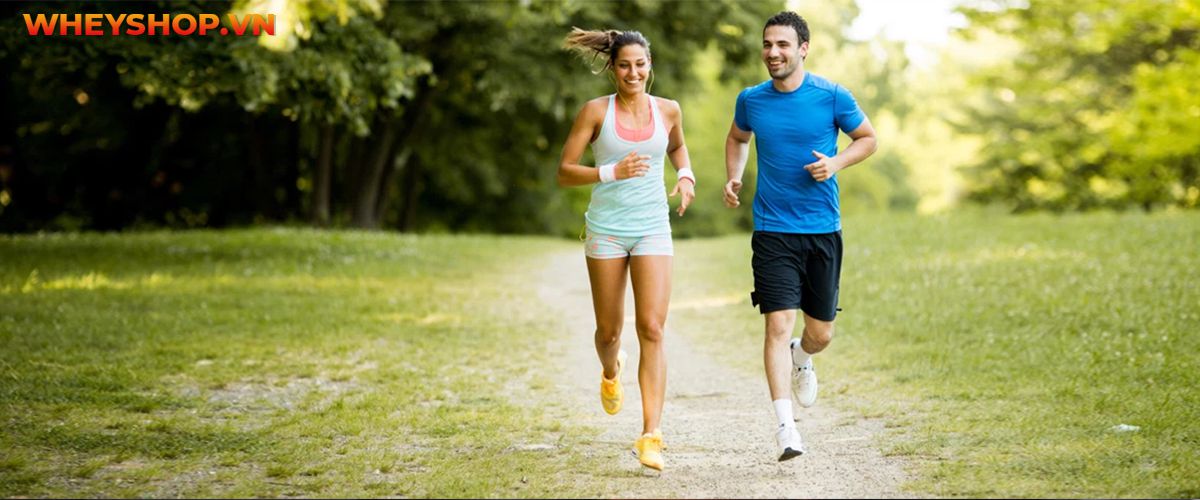 Chạy bộ là gì? Tác dụng của chạy bộ? Cùng WheyShop tìm hiểu ngay 25 lợi ích của việc chạy bộ thường xuyên bạn cần phải biết ....
