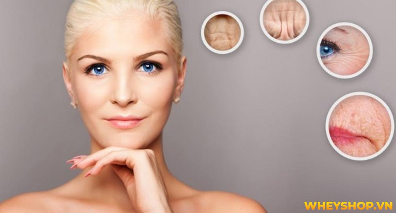Thiền là một khái niệm không còn xa lạ ngày nay, nhưng trên thực tế, không phải ai cũng hiểu được bản chất thực của thiền. Vậy thiền là gì ? Ngồi thiền có...
