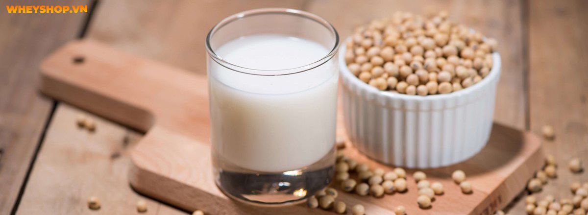 Nếu bạn đang băn khoăn tìm hiểu tác dụng của sữa đậu nành thì hãy cùng WheyShop điểm qua 10 lợi ích của sữa đậu nành khiến bạn ngỡ ngàng,...