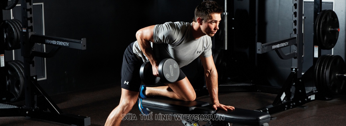 Lưng xô phát triển toàn diện không thể thiếu những bài tập Lưng xô với tạ đơn. Cùng WheyShop tìm hiểu ngay 9 bài tập lưng xô với tạ đơn qua bài viết này nhé...