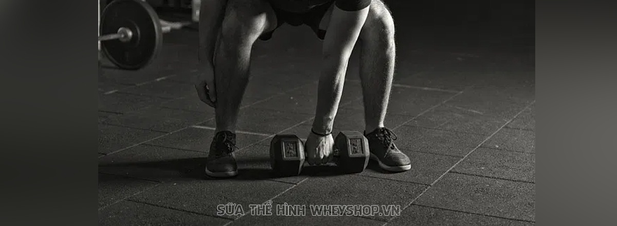 Lưng xô phát triển toàn diện không thể thiếu những bài tập Lưng xô với tạ đơn. Cùng WheyShop tìm hiểu ngay 9 bài tập lưng xô với tạ đơn qua bài viết này nhé...