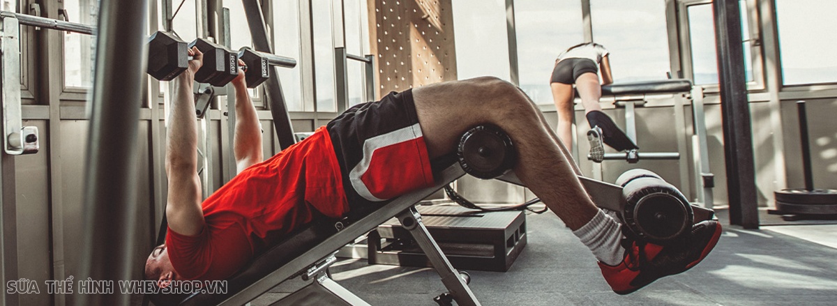 Tạ đơn luôn là lựa chọn tập đơn giản, cô lập. Cùng WheyShop tìm hiểu ngay 9 bài tập ngực tạ đơn phát triển cơ ngực dày, hiệu quả hàng đầu hiện nay...