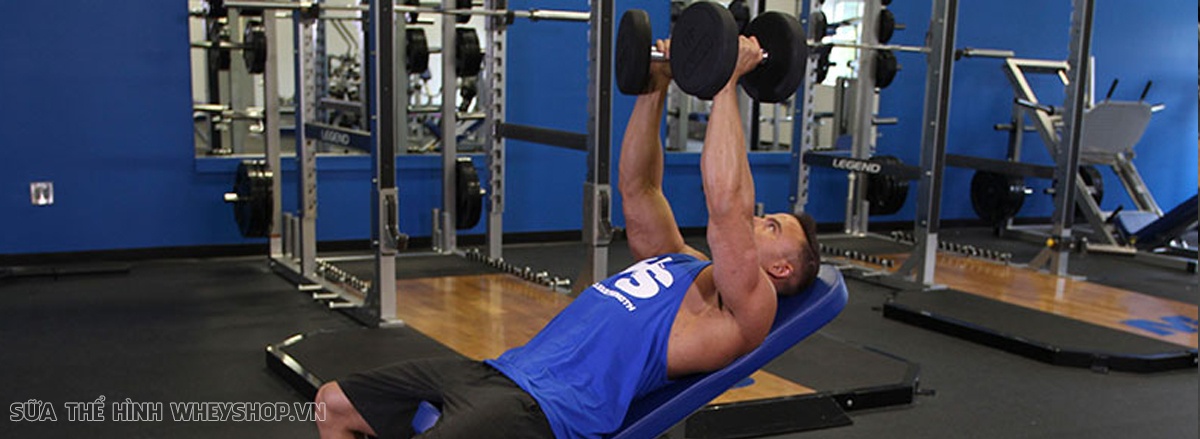 Tạ đơn luôn là lựa chọn tập đơn giản, cô lập. Cùng WheyShop tìm hiểu ngay 9 bài tập ngực tạ đơn phát triển cơ ngực dày, hiệu quả hàng đầu hiện nay...