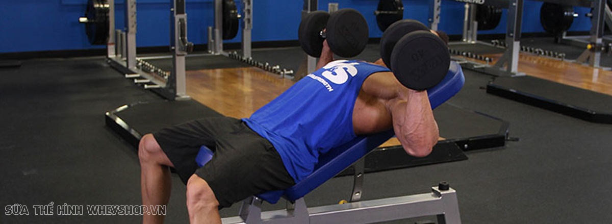 Tạ đơn luôn là l��a chọn tập đơn giản, cô lập. Cùng WheyShop tìm hiểu ngay 9 bài tập ngực tạ đơn phát triển cơ ngực dày, hiệu quả hàng đầu hiện nay...