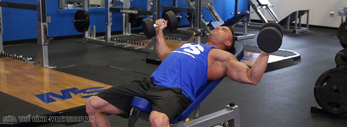 Tạ đơn luôn là lựa chọn tập đơn giản, cô lập. Cùng WheyShop tìm hiểu ngay 9 bài tập ngực tạ đơn phát triển cơ ngực dày, hiệu quả hàng đầu hiện nay...