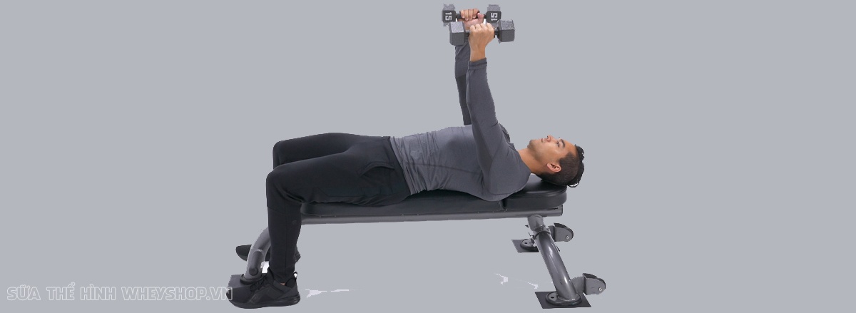 Tạ đơn luôn là lựa chọn tập đơn giản, cô lập. Cùng WheyShop tìm hiểu ngay 9 bài tập ngực tạ đơn phát triển cơ ngực dày, hiệu quả hàng đầu hiện nay...