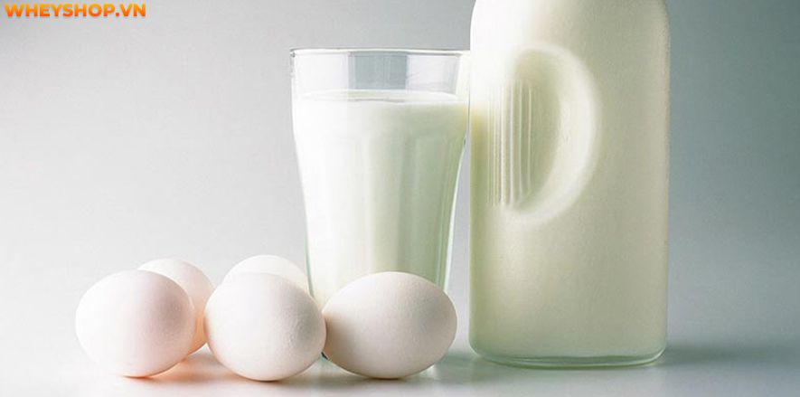 Nếu bạn đang tìm cách tăng cân bằng sữa ông thọ thì hãy cùng WheyShop tham khảo 9 cách bổ sung hiệu quả, đơn giản cho người gầy tăng cân...