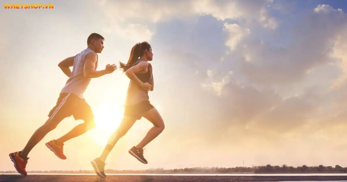 9-ly-do-khien-ban-de-tang-can-mua-dong-6