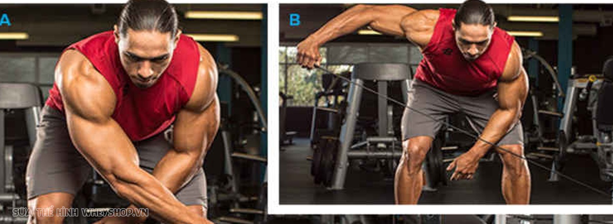 Cơ vai là một nhóm cơ cấu tạo phức tạp, khó phát triển toàn diện. Hãy cùng WheyShop tìm hiểu ngay 9 mẹo tập vai hiệu quả mà ít ai biết qua bài viết này nhé ...
