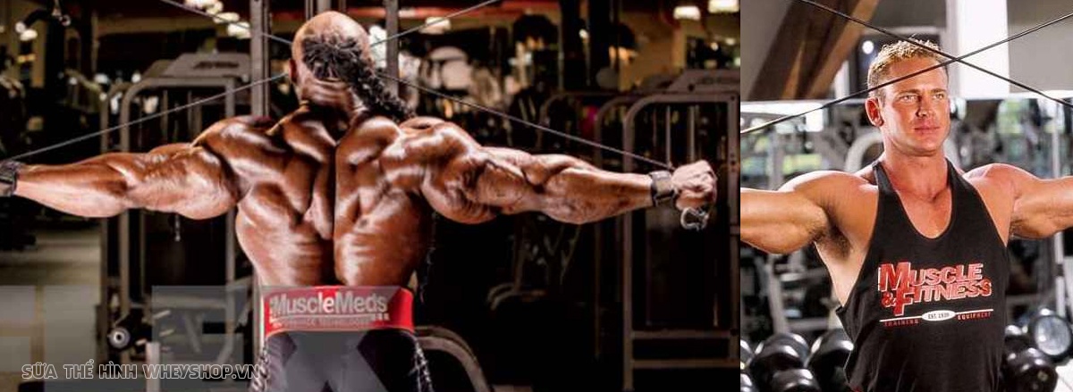 Cơ vai là một nhóm cơ cấu tạo phức tạp, khó phát triển toàn diện. Hãy cùng WheyShop tìm hiểu ngay 9 mẹo tập vai hiệu quả mà ít ai biết qua bài viết này nhé ...