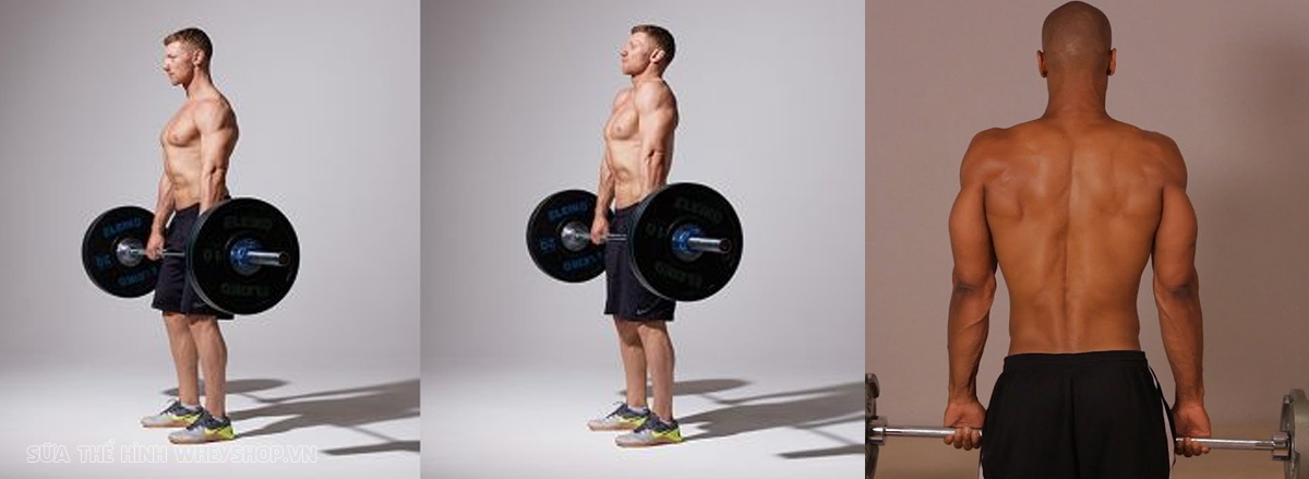 Cơ vai là một nhóm cơ cấu tạo phức tạp, khó phát triển toàn diện. Hãy cùng WheyShop tìm hiểu ngay 9 mẹo tập vai hiệu quả mà ít ai biết qua bài viết này nhé ...