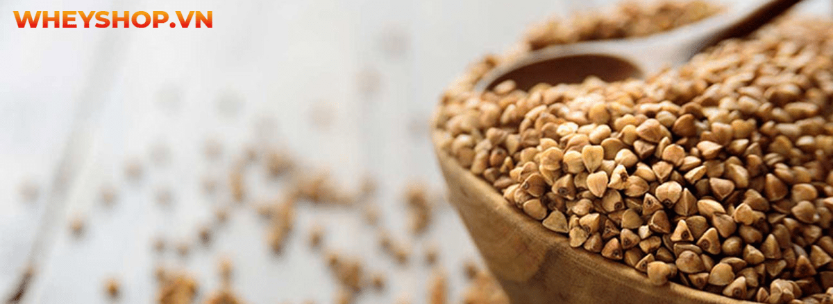 Carb là gì? Tìm hiểu chi tiết về carb cùng 15 sự thật về carb mà bạn chưa từng biết tới qua bài viết sau đây cùng WheyShop nhé ....