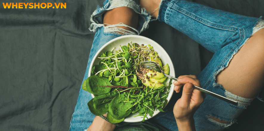 Ăn chay có được uống sữa không là một câu hỏi mà những người mới bắt đầu ăn chay thường tự hỏi. Xin mời các bạn hãy cùng WheyShop tìm hiểu câu trả lời thông...