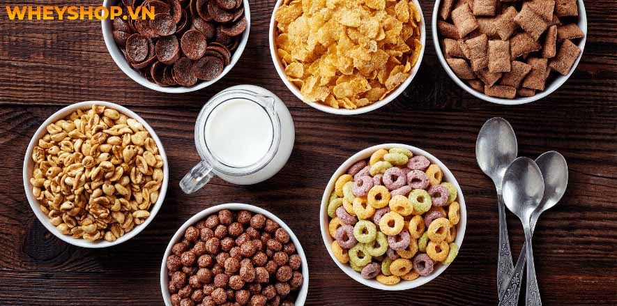 Ăn chay có được uống sữa không là một câu hỏi mà những người mới bắt đầu ăn chay thường tự hỏi. Xin mời các bạn hãy cùng WheyShop tìm hiểu câu trả lời thông...