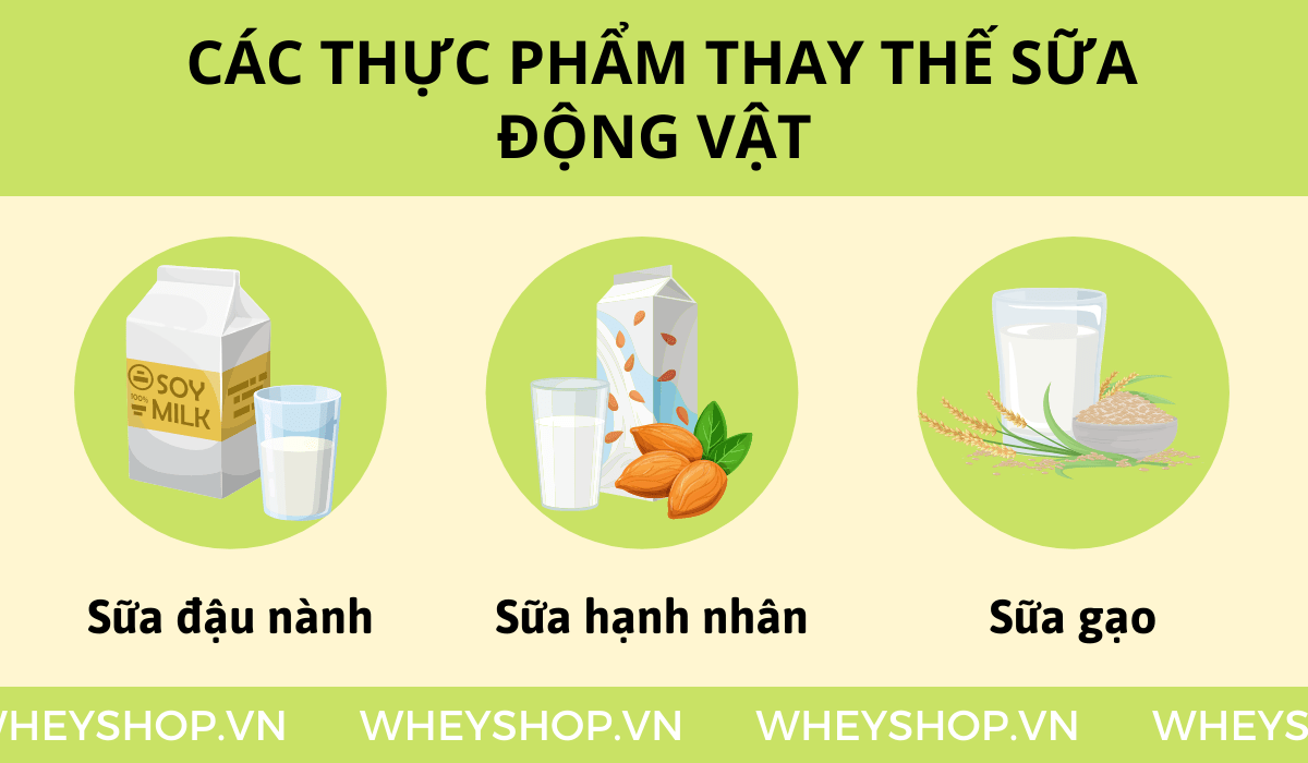 Ăn chay có được uống sữa không là một câu hỏi mà những người mới bắt đầu ăn chay thường tự hỏi. Xin mời các bạn hãy cùng WheyShop tìm hiểu câu trả lời thông...
