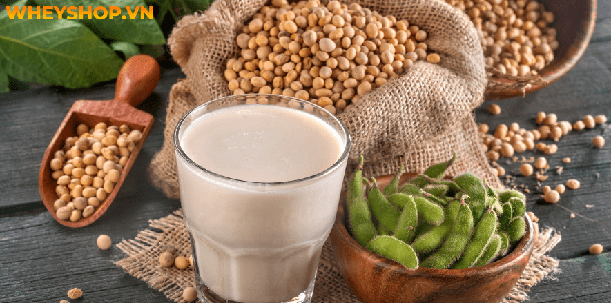 Ăn chay có được uống sữa không là một câu hỏi mà những người mới bắt đầu ăn chay thường tự hỏi. Xin mời các bạn hãy cùng WheyShop tìm hiểu câu trả lời thông...