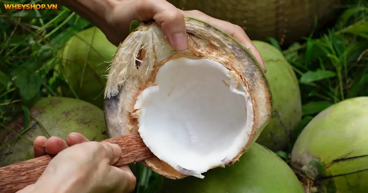 an-cui-dua-co-beo-khong-4