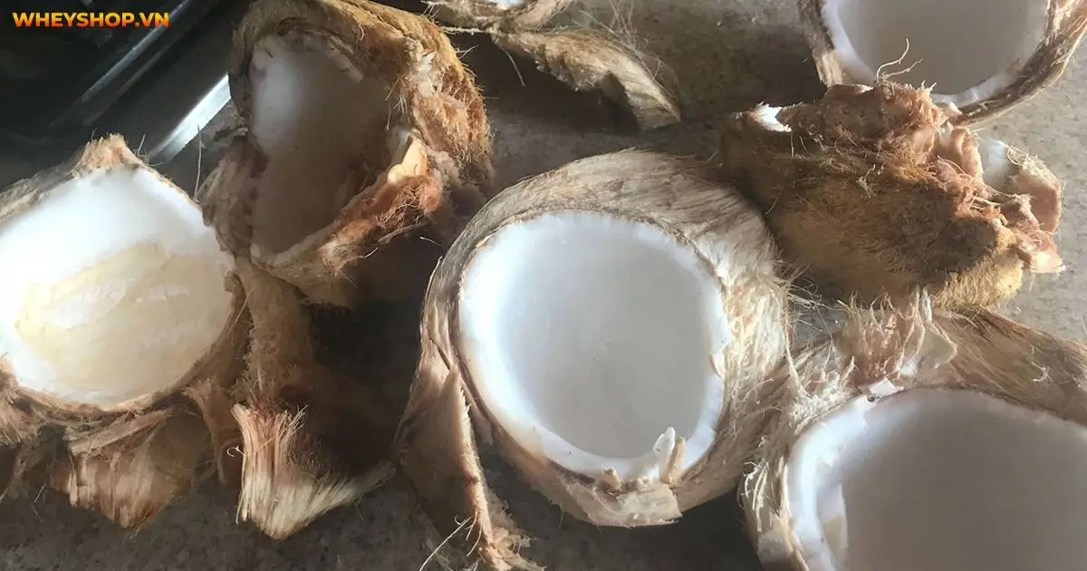 an-cui-dua-co-beo-khong-4