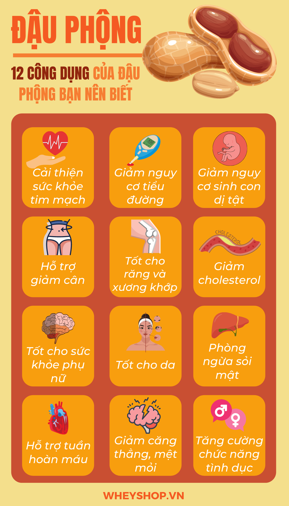 Ăn đậu phộng có tốt không ? Đây là câu hỏi được nhiều người đặt ra khi sử dụng loại thực phẩm này, vì nó là món ăn yêu thích của mọi lứa tuổi đối với người...