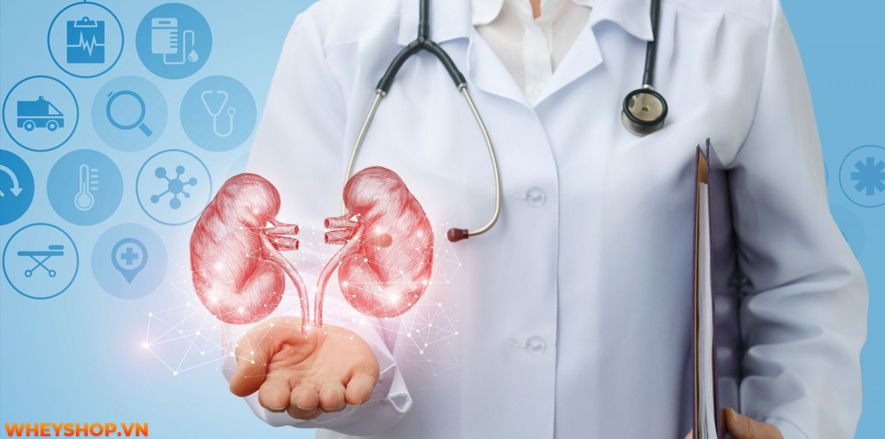 Ăn đậu phộng có tốt không ? Đây là câu hỏi được nhiều người đặt ra khi sử dụng loại thực phẩm này, vì nó là món ăn yêu thích của mọi lứa tuổi đối với người...