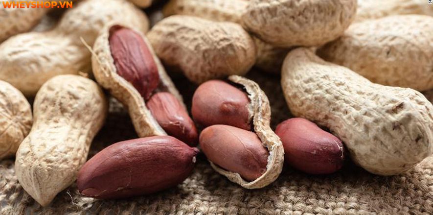 Ăn đậu phộng có tốt không ? Đây là câu hỏi được nhiều người đặt ra khi sử dụng loại thực phẩm này, vì nó là món ăn yêu thích của mọi lứa tuổi đối với người...