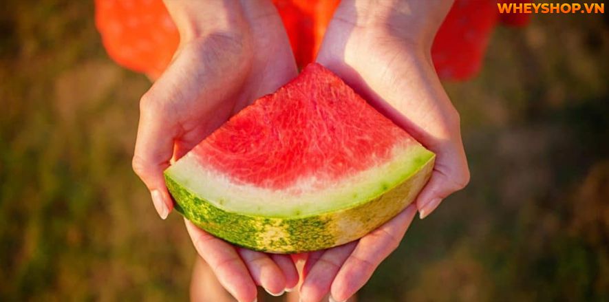 Ăn dưa hấu có béo không? Ăn nhiều dưa hấu có tốt không? Bài viết này, hãy cùng Wheyshop giải đáp thắc mắc cho bạn nhé!
