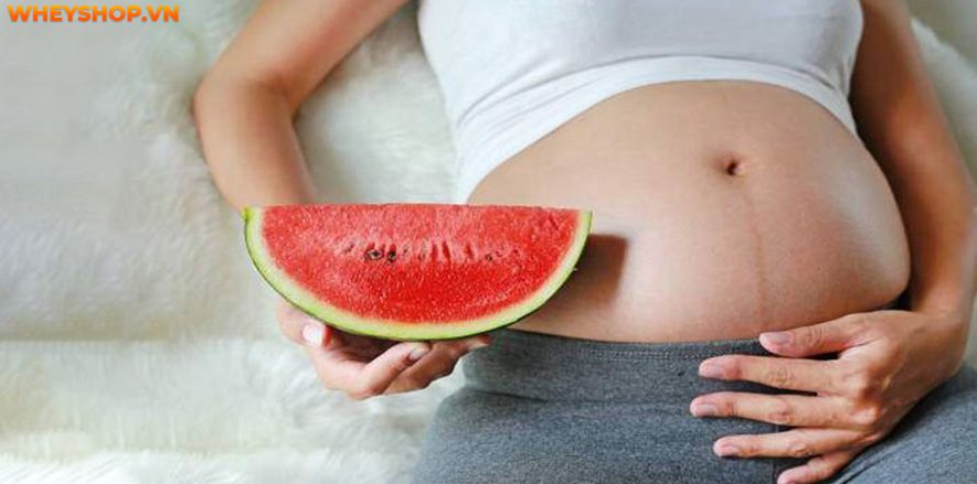 Ăn dưa hấu có béo không? Ăn nhiều dưa hấu có tốt không? Bài viết này, hãy cùng Wheyshop giải đáp thắc mắc cho bạn nhé!