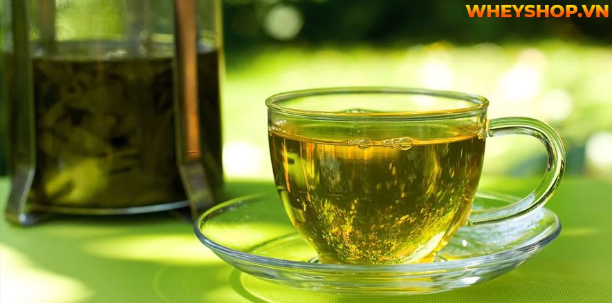 Nếu bạn đang băn khoăn ăn gì để ngực to nhanh thì hãy cùng WheyShop tham khảo bài viết những thực phẩm phát triển vòng 1 hiệu quả...