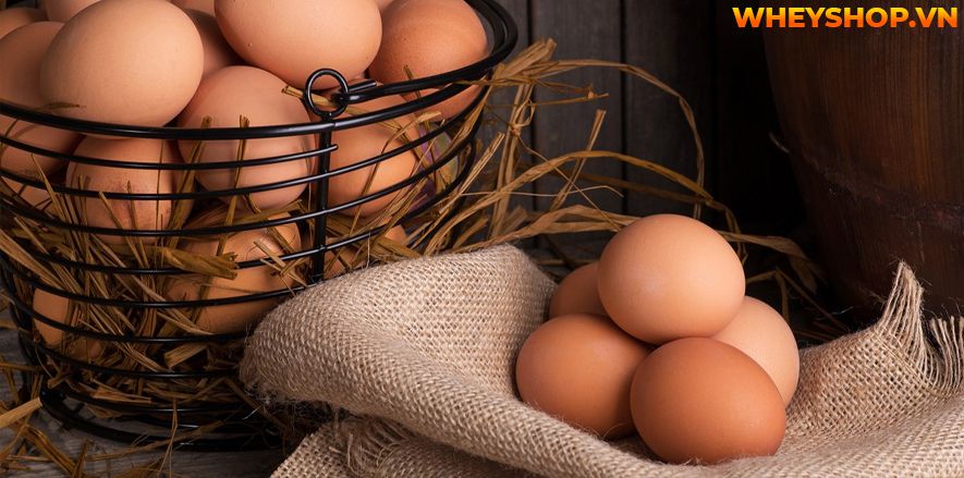 Nếu bạn đang băn khoăn ăn gì để ngực to nhanh thì hãy cùng WheyShop tham khảo bài viết những thực phẩm phát triển vòng 1 hiệu quả...